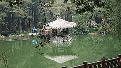 p5161266_thumb.jpg