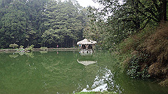p5161267_thumb.jpg
