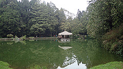 p5161268_thumb.jpg