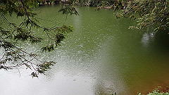 p5161271_thumb.jpg