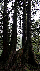 p5161281_thumb.jpg
