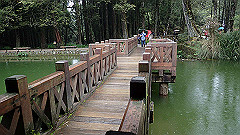 p5161284_thumb.jpg
