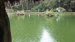p5161285_thumb.jpg