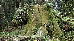 p5161287_thumb.jpg