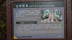 p5161289_thumb.jpg