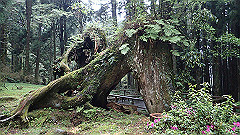 p5161290_thumb.jpg