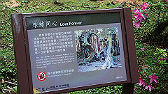 p5161291_thumb.jpg