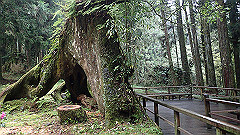 p5161292_thumb.jpg