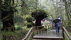 p5161293_thumb.jpg