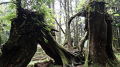 p5161294_thumb.jpg