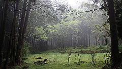 p5161296_thumb.jpg