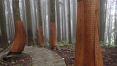 p5161298_thumb.jpg