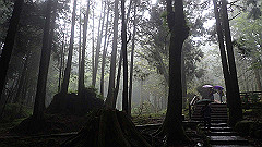 p5161299_thumb.jpg