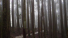 p5161300_thumb.jpg