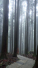 p5161302_thumb.jpg