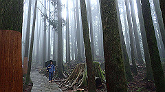 p5161303_thumb.jpg