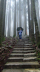 p5161304_thumb.jpg