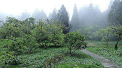 p5161307_thumb.jpg