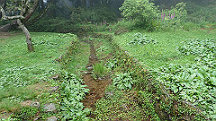 p5161308_thumb.jpg