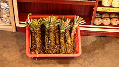 p5161316_thumb.jpg