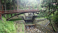 p5161322_thumb.jpg