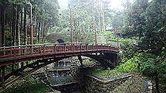 p5161324_thumb.jpg
