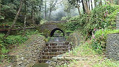 p5161326_thumb.jpg