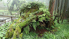 p5161327_thumb.jpg