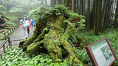 p5161329_thumb.jpg