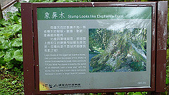 p5161330_thumb.jpg