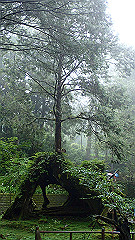 p5161332_thumb.jpg