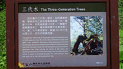 p5161334_thumb.jpg