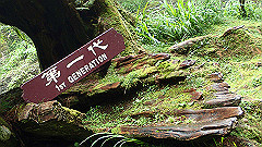 p5161335_thumb.jpg