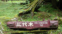 p5161336_thumb.jpg