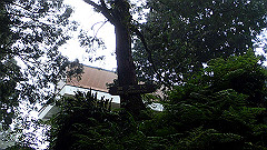 p5161337_thumb.jpg