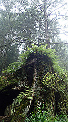 p5161339_thumb.jpg