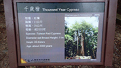 p5161347_thumb.jpg