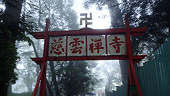 p5161349_thumb.jpg