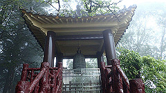 p5161350_thumb.jpg