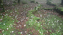 p5161352_thumb.jpg