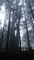 p5161358_thumb.jpg