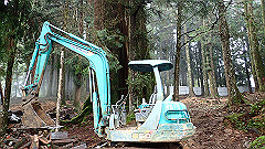 p5161360_thumb.jpg