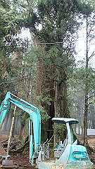 p5161361_thumb.jpg
