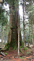 p5161362_thumb.jpg