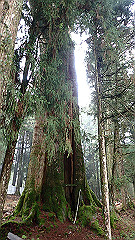 p5161363_thumb.jpg