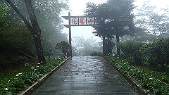 p5161368_thumb.jpg