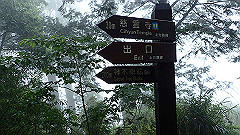 p5161372_thumb.jpg