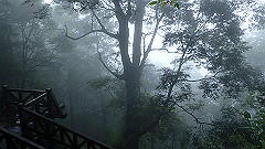 p5161373_thumb.jpg