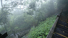 p5161374_thumb.jpg