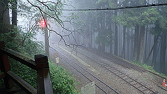p5161375_thumb.jpg